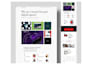 webflow website design or webflow redesign or webflow expert